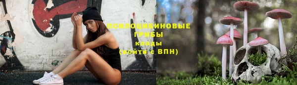 крисы Баксан