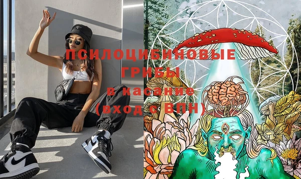 2c-b Белоозёрский