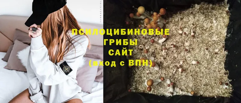 ссылка на мегу ссылка  darknet как зайти  Псилоцибиновые грибы Psilocybe  дарнет шоп  Весьегонск 