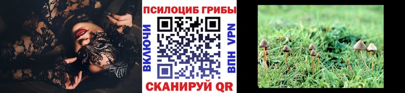 Галлюциногенные грибы Psilocybe  продажа наркотиков  Весьегонск 